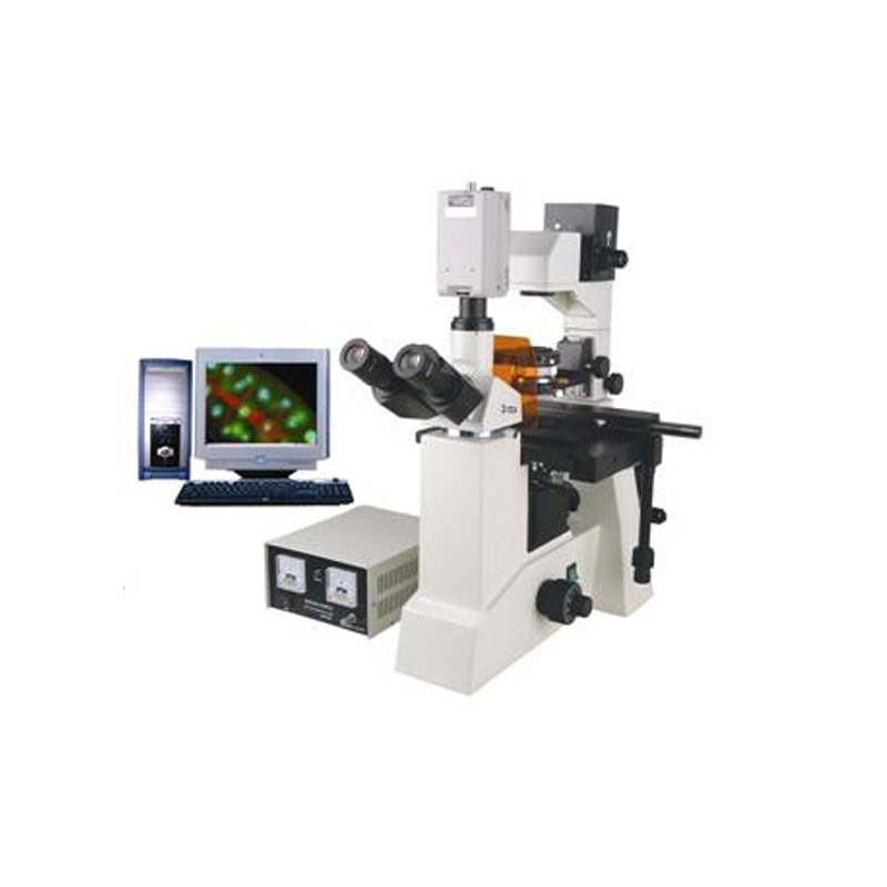 研究型倒置荧光显微镜BFM-550系列